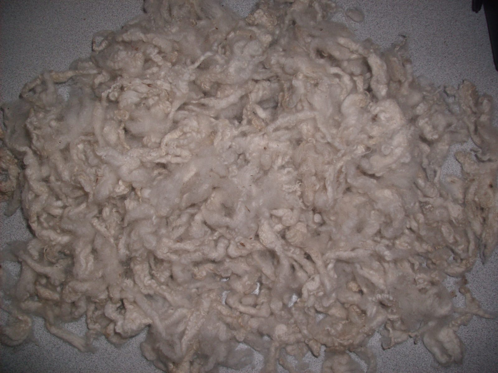 Scoured wool prepared for further processing